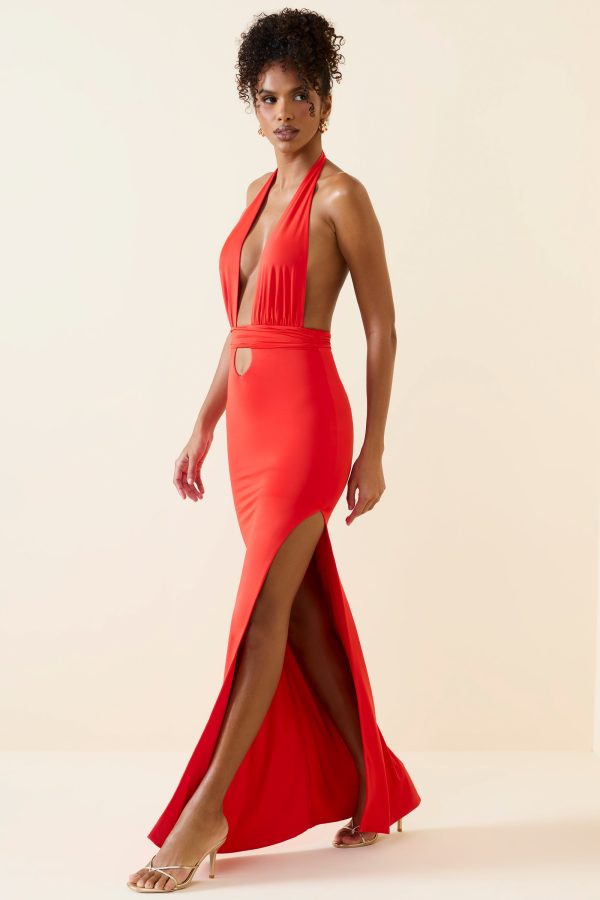 11269-Scarlet_Xenia_6.jpg