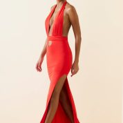 11269-Scarlet_Xenia_6.jpg