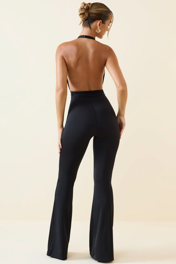 11641-Black_Zenaida_2.jpg