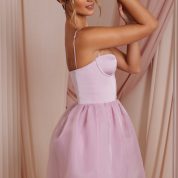 6754_3_Floriane-Dusty-Pink-Satin-Corset-Mini-Dress-With-Lace-Trim-And-Tulle-Skirt.jpg