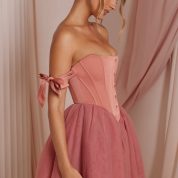 6756_3_Reine-Terracotta-Tulle-Mini-Skirt-Corset-Mini-Dress.jpg