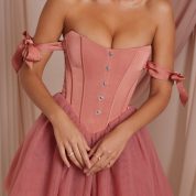 6756_5_Reine-Terracotta-Tulle-Mini-Skirt-Corset-Mini-Dress.jpg