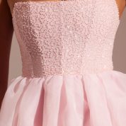 6978_10_Rosette-Blush-Organza-Skirt-Maxi-Dress.jpg