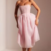6978_1_Rosette-Blush-Organza-Skirt-Maxi-Dress.jpg