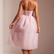 6978_8_Rosette-Blush-Organza-Skirt-Maxi-Dress.jpg