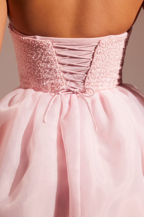 6978_9_Rosette-Blush-Organza-Skirt-Maxi-Dress.jpg