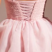 6978_9_Rosette-Blush-Organza-Skirt-Maxi-Dress.jpg