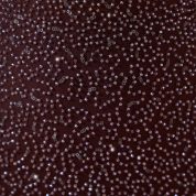 7962-RedBrown_Monte_Carlo_6_1355d7e3-0d49-4729-8c29-991bb4cb5ae0.jpg