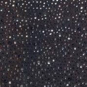 9006-Black_Claribel_7.jpg