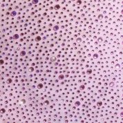 9010_PeonyPink_Elea_7.jpg