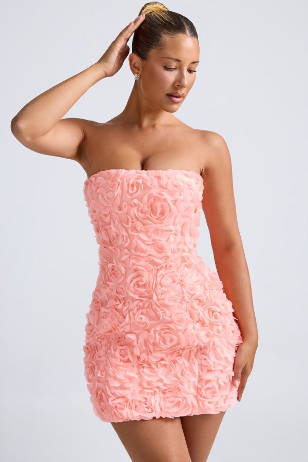 9953-Coral_Azaelea_1_3c6885bf-f580-46c4-8729-f38310c25a5b.jpg