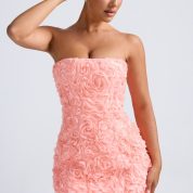 9953-Coral_Azaelea_1_3c6885bf-f580-46c4-8729-f38310c25a5b.jpg