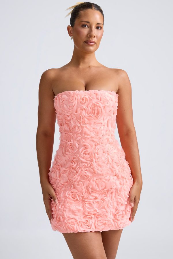 9953-Coral_Azaelea_2_b97b97d2-574d-4214-ab1d-266d2c0e938a.jpg