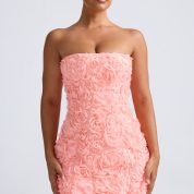 9953-Coral_Azaelea_2_b97b97d2-574d-4214-ab1d-266d2c0e938a.jpg