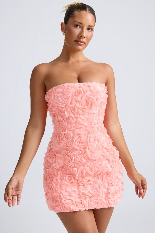 9953-Coral_Azaelea_4_1b5c5686-0574-422d-96b8-9729785a8ea1.jpg
