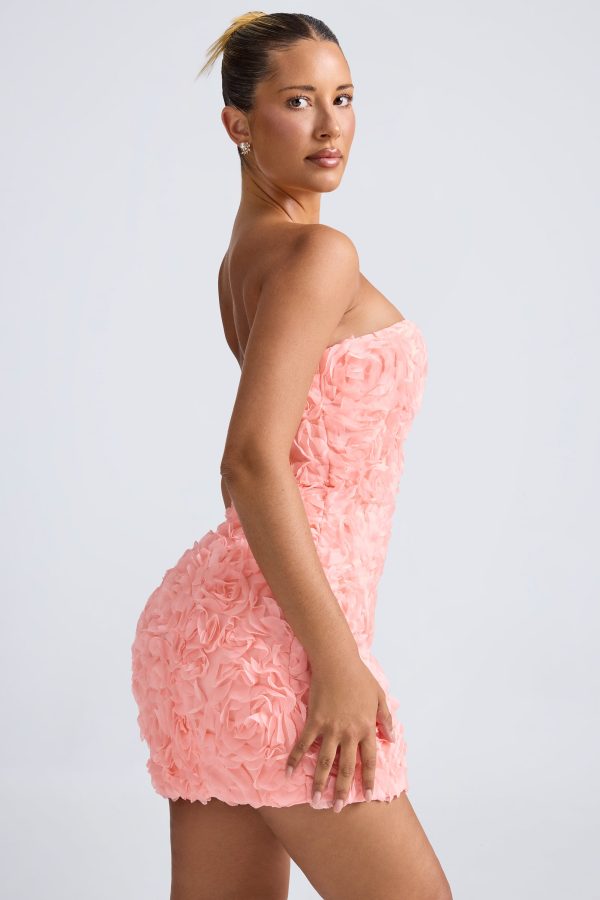 9953-Coral_Azaelea_6_44d4eca1-fc15-48e2-9e94-63809261222d.jpg