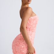 9953-Coral_Azaelea_6_44d4eca1-fc15-48e2-9e94-63809261222d.jpg