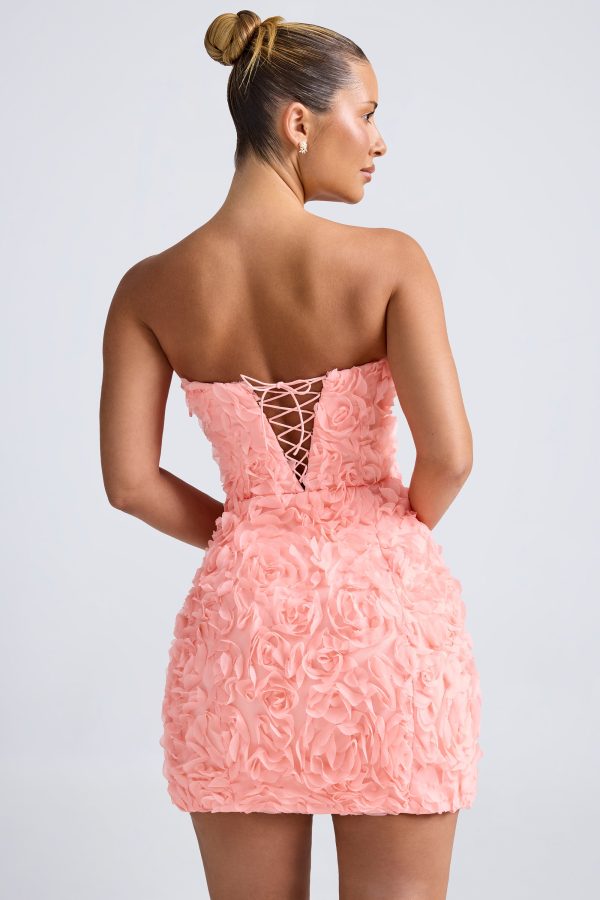 9953-Coral_Azaelea_7_18bd9cd2-f9de-4e68-9595-239d5b76fdeb.jpg