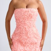 9953-Coral_Azaelea_8_e4b5b960-c77b-4632-b202-a80fe6d2fc06.jpg