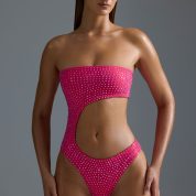 NS0461-RaspberrySorbet_1.jpg