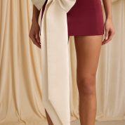 carola-bow-detail-low-rise-mini-skirt-wine-red_10_241119061418.jpg