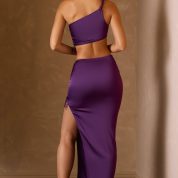 ishaana-ruched-asymmetric-waist-maxi-skirt-plum_3_241021092820.jpg