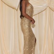 kaleena-embellished-corset-gown-gold_6_24120403253.jpg