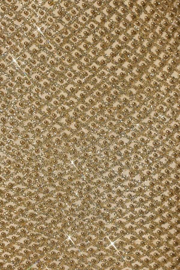 katalia-embellished-cut-out-gown-gold_5_241219031422.jpg