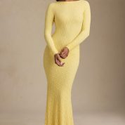tarini-ruched-backless-lace-maxi-dress-pastel-yellow_7_250423105720.jpg