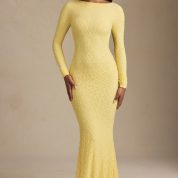 tarini-ruched-backless-lace-maxi-dress-pastel-yellow_8_250423105720.jpg