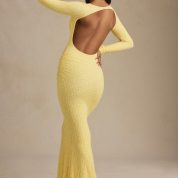 tarini-ruched-backless-lace-maxi-dress-pastel-yellow_9_250423105720.jpg