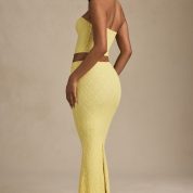 vanda-draped-low-rise-lace-maxi-skirt-pastel-yellow_2_250417110841.jpg